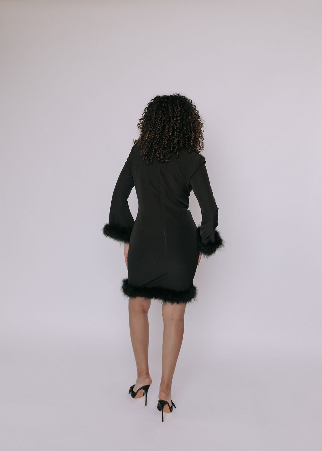 Dutton Feather Dress