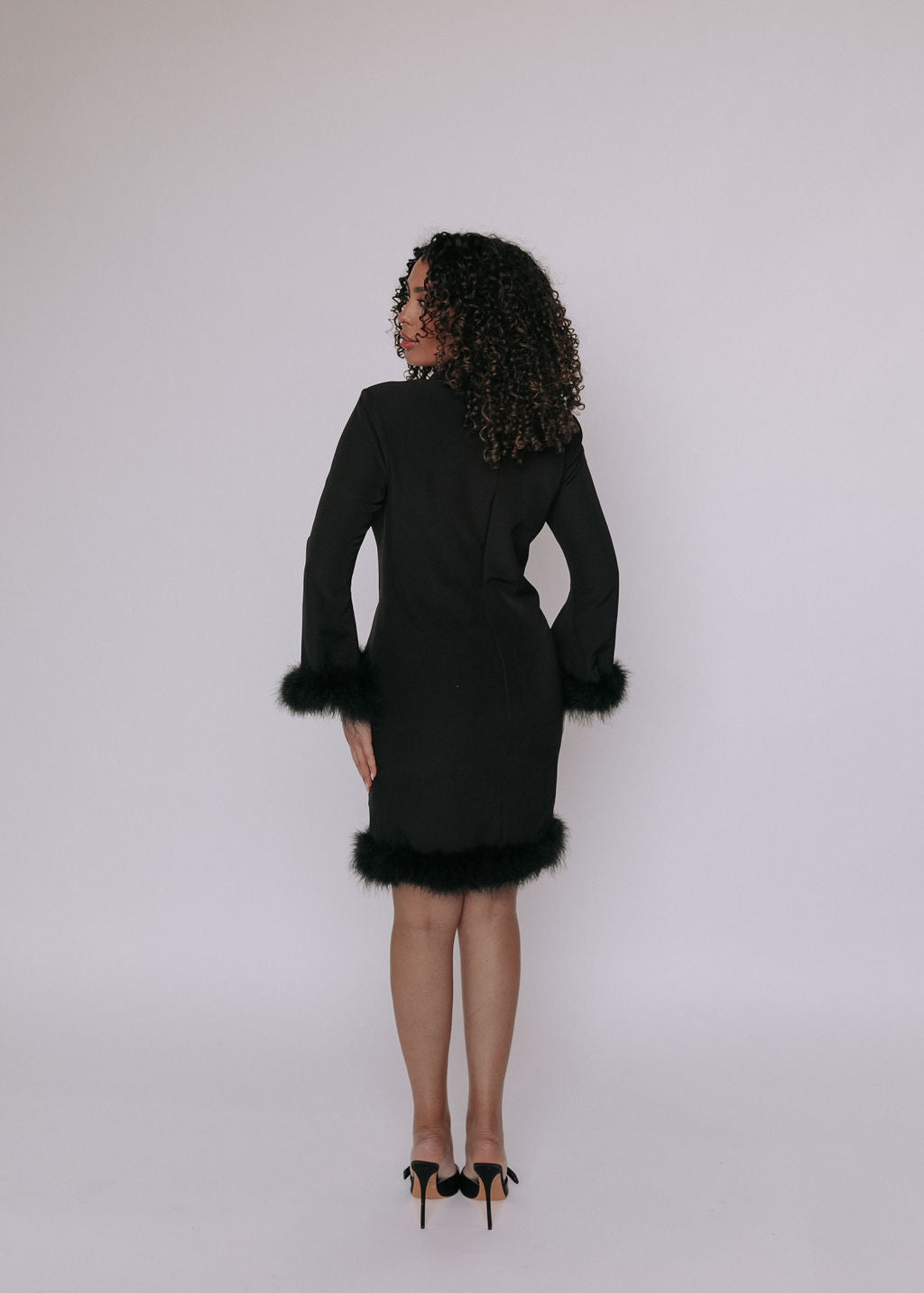 Dutton Feather Dress
