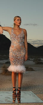 Ines Feather Dress
