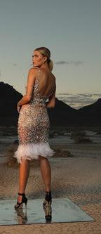 Ines Feather Dress