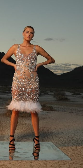 Ines Feather Dress
