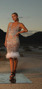 Ines Feather Dress