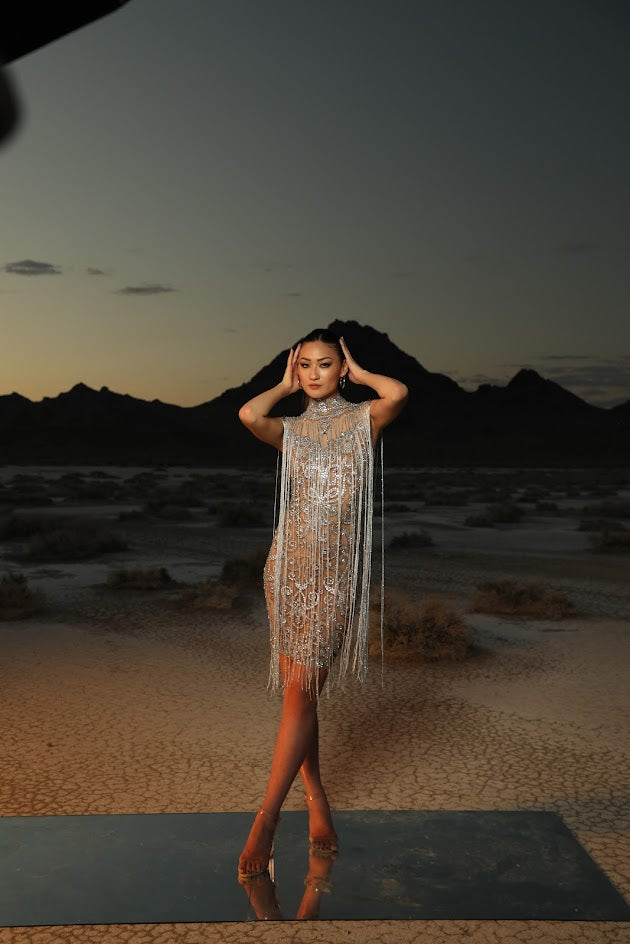 Hazel Embellished Dress