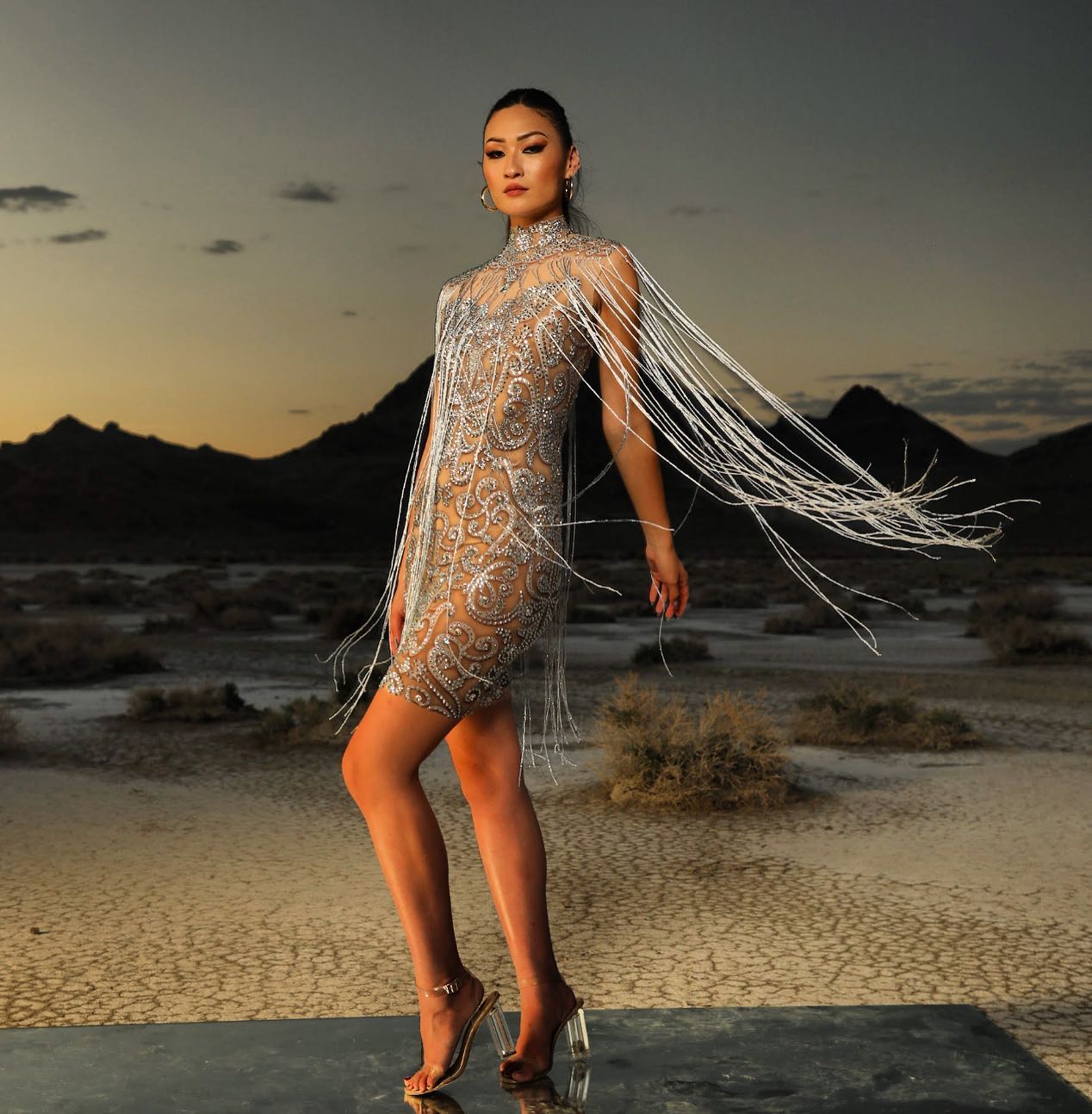 Hazel Embellished Dress