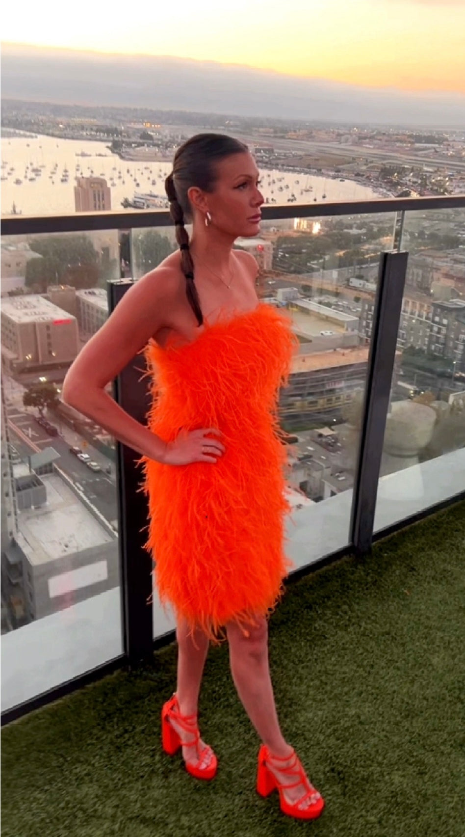 Logan Feather Dress