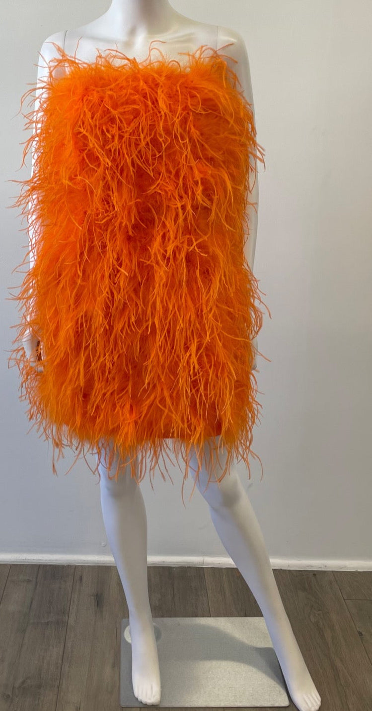Logan Feather Dress