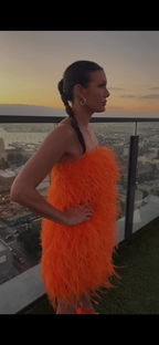Logan Feather Dress