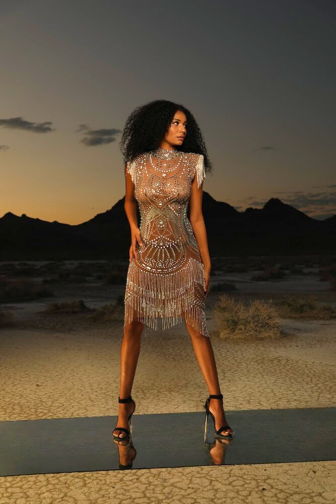 Emily Embellished Dress